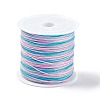 50M Segment Dyed Nylon Chinese Knotting Cord NWIR-A008-02G-1