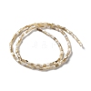 Natural Freshwater Shell Beads Strands SSHEL-B002-17-2