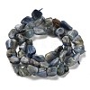 Natural Kyanite Beads Strands G-P497-01E-40-3