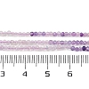 Natural Fluorite Beads Strands G-F789-01-2mm-6