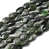 Natural Green Diopside Beads Strands G-B159-A17-2