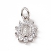 Brass Micro Pave Cubic Zirconia Charms ZIRC-F132-36P-1