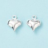 304 Stainless Steel Charms STAS-I138-11A-S-3