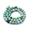 Natural Peruvian Turquoise(Jasper) Beads Strands G-E561-11-8mm-A01-2