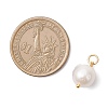 Natural Baroque Pearl Keshi Pearl Pendants PALLOY-JF04627-01-2