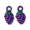 Baking Paint Alloy Pendants FIND-G097-04B-1