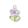 Transparent Acrylic Pendants PALLOY-JF03713-02-3