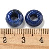 Dyed Natural Lapis Lazuli Beads X-G-Q173-03A-17-3