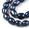 Natural Cultured Freshwater Pearl Beads Strands PEAR-N012-08L-01-3