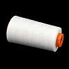 Polyester Machine Embroidery Threads FB-CBA4738-01A-2