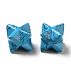 Synthetic Turquoise Beads G-A206-01A-27-3