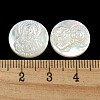 Carved Natural White Shell Cabochons SSHEL-N038-06B-10-3