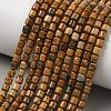 Natural Picture Jasper Beads Strands GG-CBAC70A-A04-1
