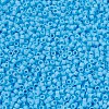 MIYUKI Delica Beads SEED-JP0008-DB0879-3