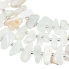 Natural Green Opal Beads Strands G-L657-E03-01-4