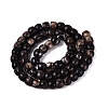 Natural Biotite Beads Strands G-Q616-02A-11-3