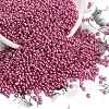 12/0 Glass Seed Beads E06900F2-1