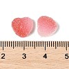 Imitation Candy Food Style Resin Cabochons RESI-R461-01E-3