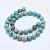 Natural Aqua Terra Jasper Beads Strands G-E444-14A-12mm-2