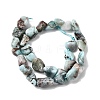 Natural Larimar Beads Strands G-P601-A21-02-3