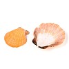 Natural Scallop Shell Beads SSHEL-N040-04-2