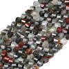 Natural African Bloodstone Beads Strands G-P611-C31-01-2