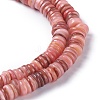 Natural Freshwater Shell Beads Strands X-BSHE-I016-04E-3