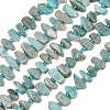 Natural Amazonite Beads Strands X-G-P619-A04-01-2