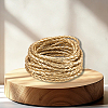 5M Braided Round PU Leather Jewelry Cord OCOR-GF0004-96A-03-7