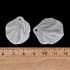 Frosted Acrylic Pendants AC-CBA1E6C-01B-3