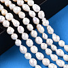 Natural Baroque Pearl Keshi Pearl Beads Strands PEAR-S020-F04-02-2