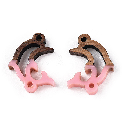 Opaque Resin & Walnut Wood Connector Charms RESI-N039-46F-1