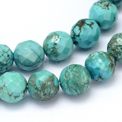 Natural Howlite Beads Strands TURQ-P027-42-1