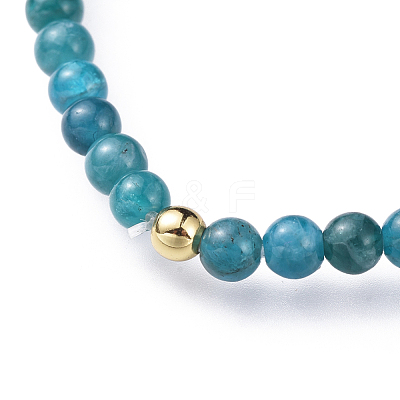 Natural Apatite Stretch Bracelets BJEW-JB04556-02-1