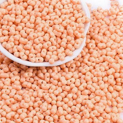 Baking Paint Glass Seed Beads X1-SEED-K010-A14-1