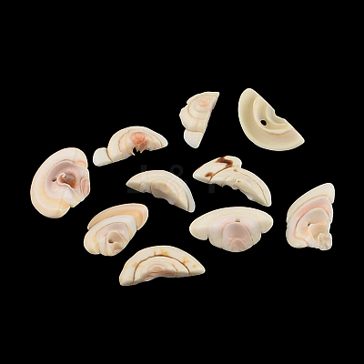Natural Spiral Shell Beads SSHEL-R036-06-1