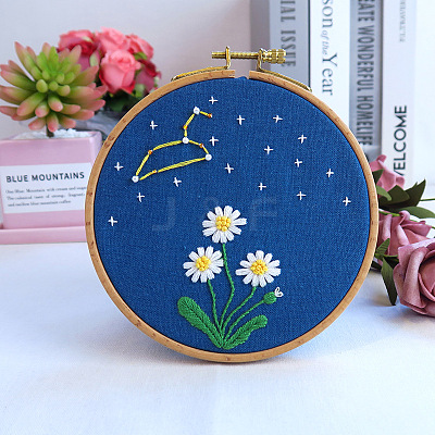 Flower & Constellation Pattern 3D Bead Embroidery Starter Kits DIY-P077-089-1