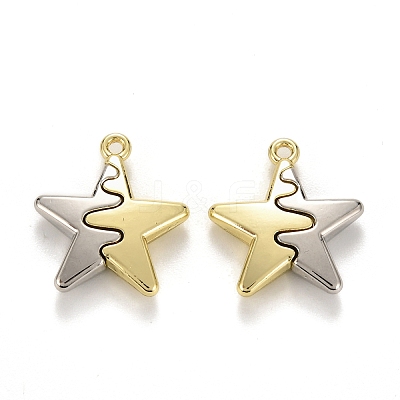 Spray Painted Alloy Pendants LS-FIND-I016-B01-1