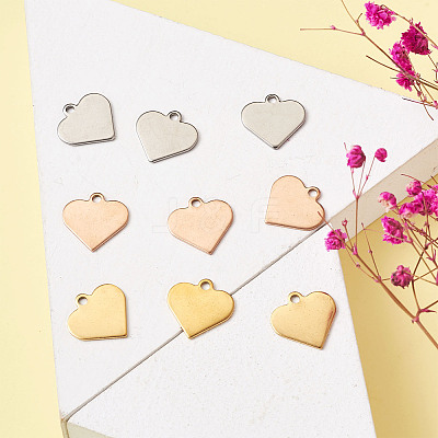 304 Stainless Steel Charms STAS-BT0001-03-1