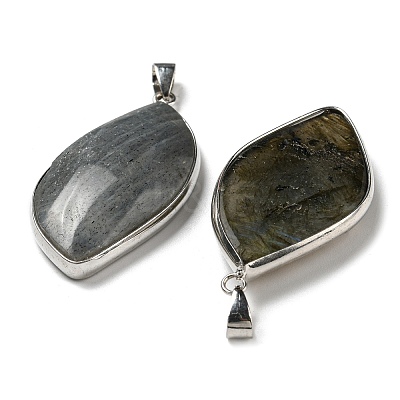 Natural Labradorite Pendants KK-C034-05P-1