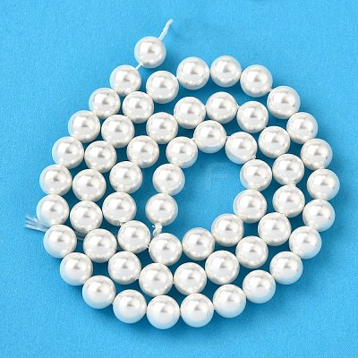 Rainbow Plated Shell Pearl Bead Strands BSHE-L025-02-10mm-1