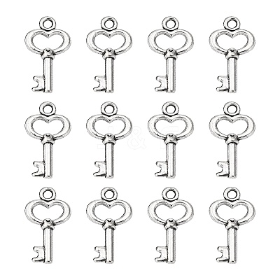 Gifts Ideas for Her Tibetan Style Alloy Charms LS-LF11975Y-NF-1
