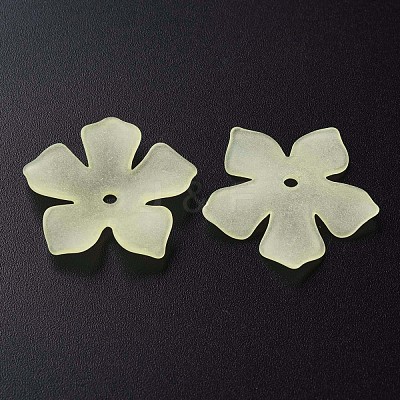 Transparent Acrylic Beads MACR-S373-119-D03-1