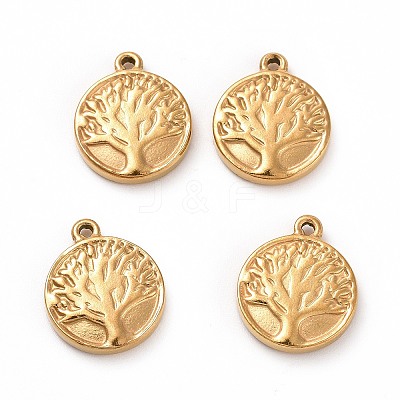 304 Stainless Steel Charms LS-STAS-G071-15G-1