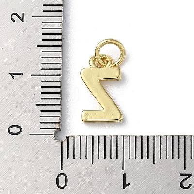 Rack Plating Brass Charms KK-P245-06G-Z-1