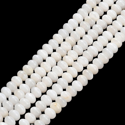 Natural Freshwater Shell Beads Strands SHEL-C010-04B-02-1