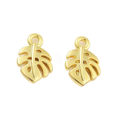 Rack Plating Alloy Charms FIND-Q108-16G-1