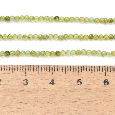 Natural Peridot Beads Strands G-A322-A07-2mm-1
