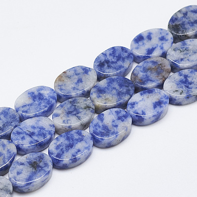 Natural Blue Spot Jasper Beads Strands G-T122-04M-1