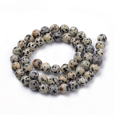 Natural Dalmatian Jasper Beads Strands G-S259-24-6mm-1